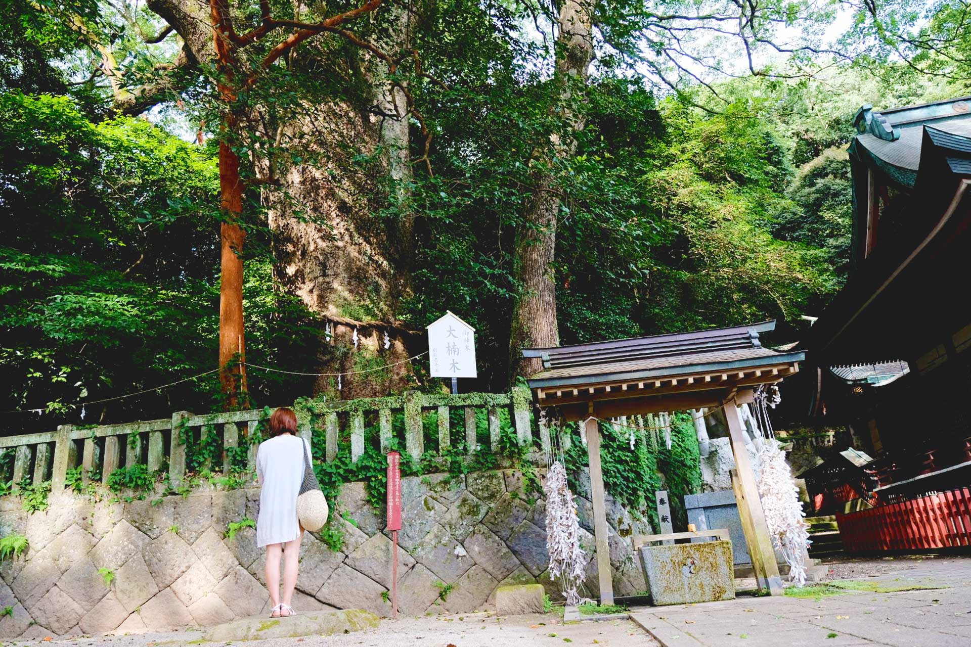 health and beauty guru praying at Asami Shrine in Beppu