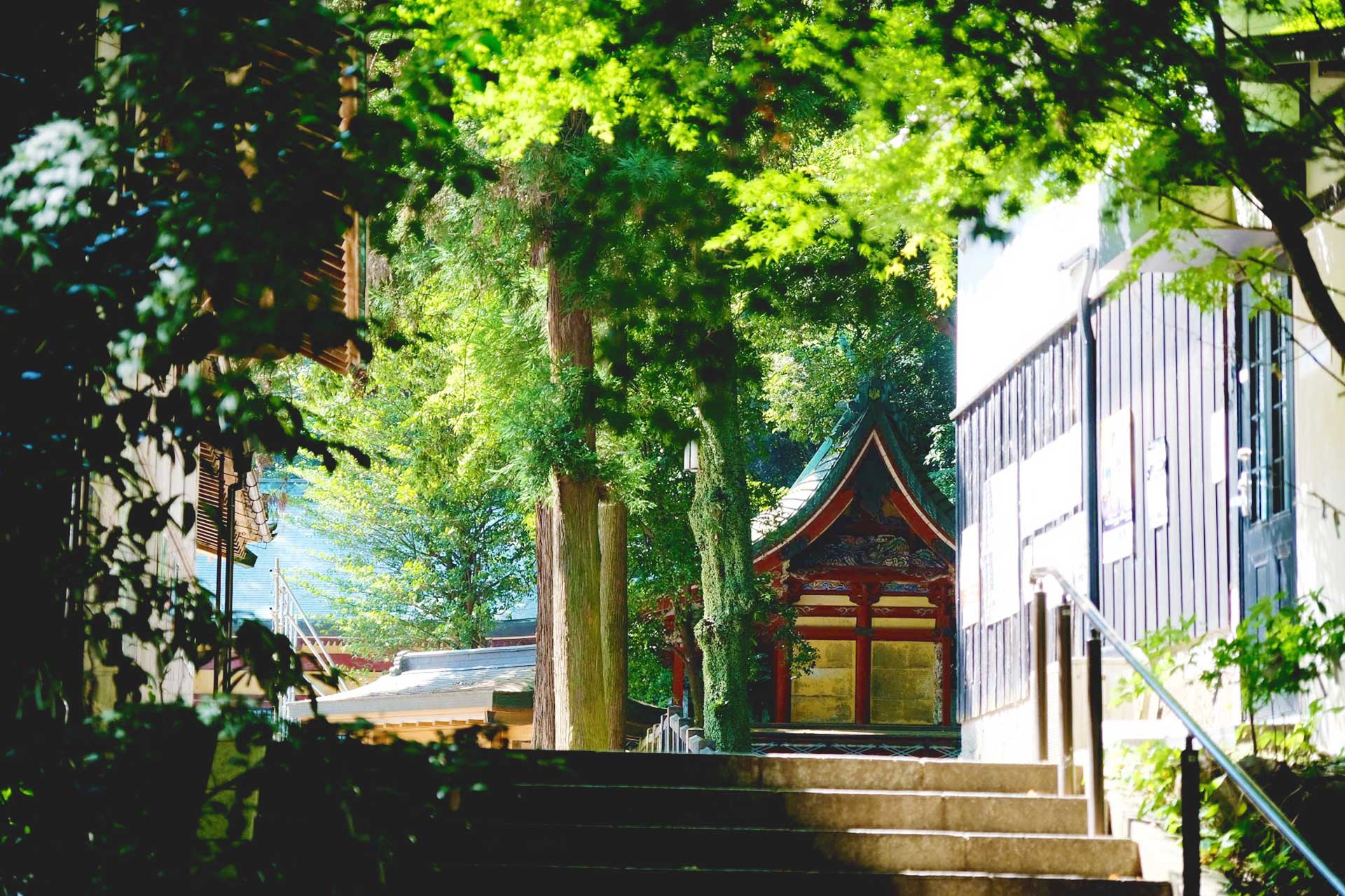 health and beauty guru praying at Asami Shrine in Beppu