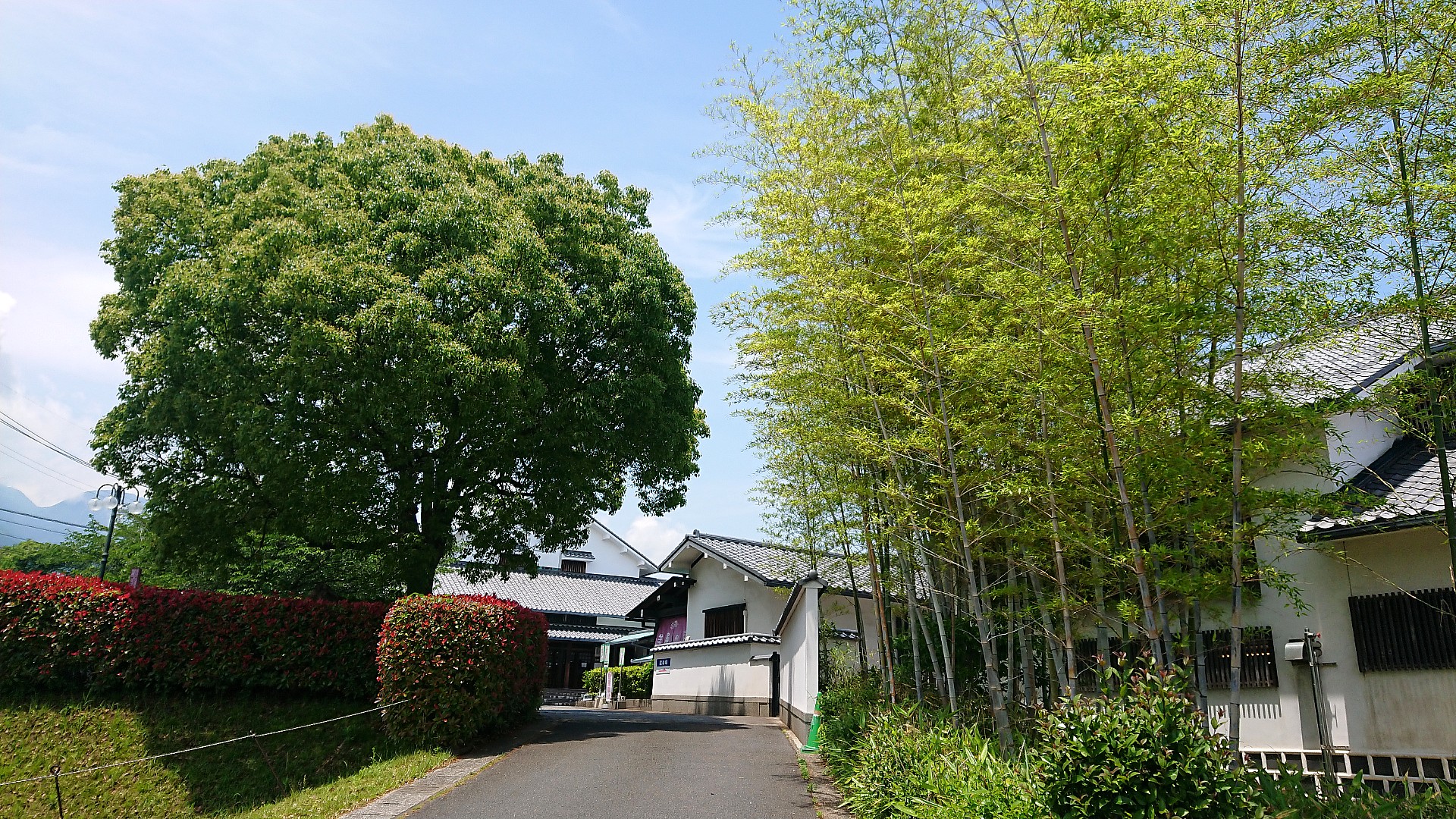 tattoo friendly Beppu Onsen Shibaino Yu